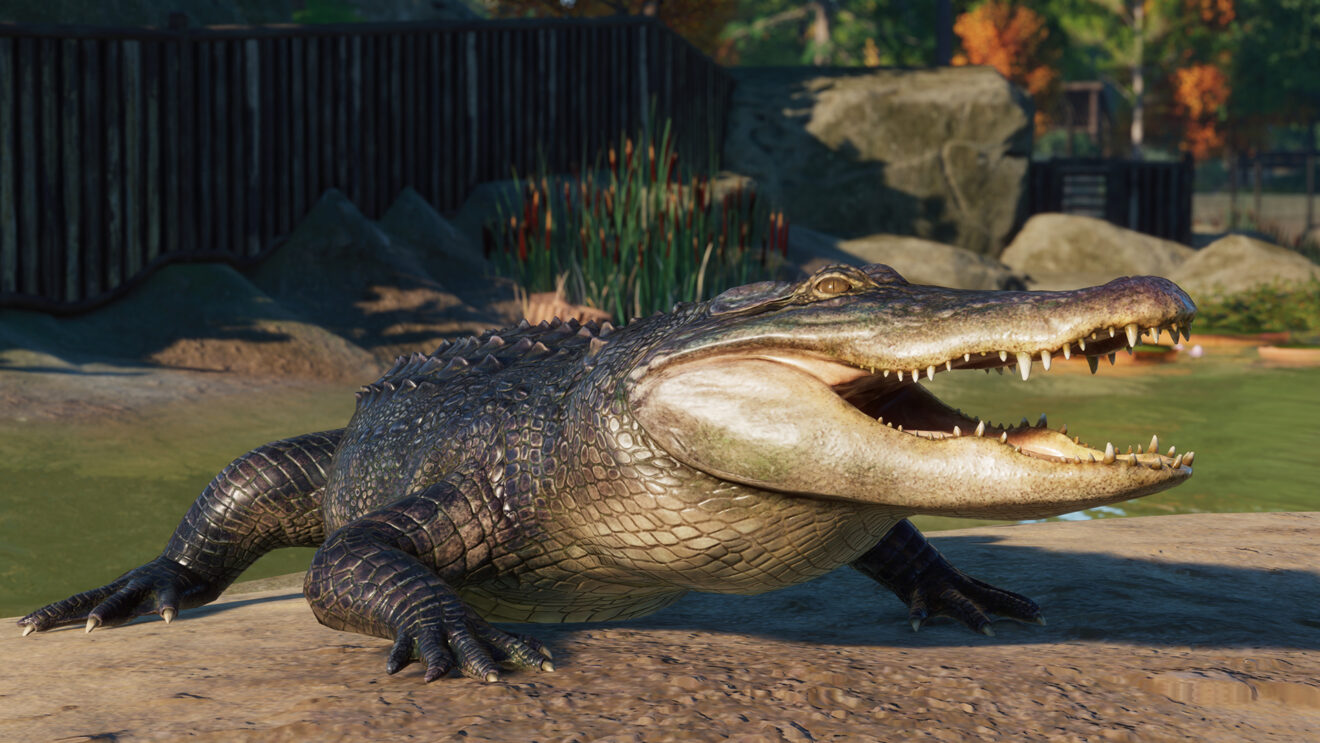 Planet Zoo's North America Animal Pack is now live - EGM